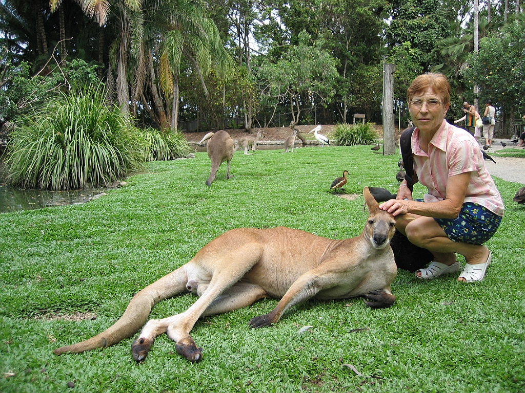 117 Port Douglas Wildlife Habitat.jpg